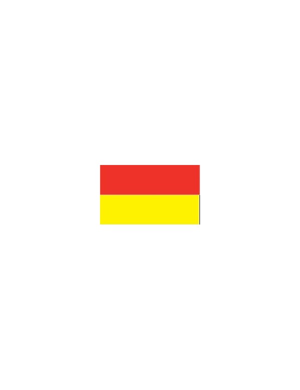 Pavillon rouge/jaune       (limite de zones de baignade)